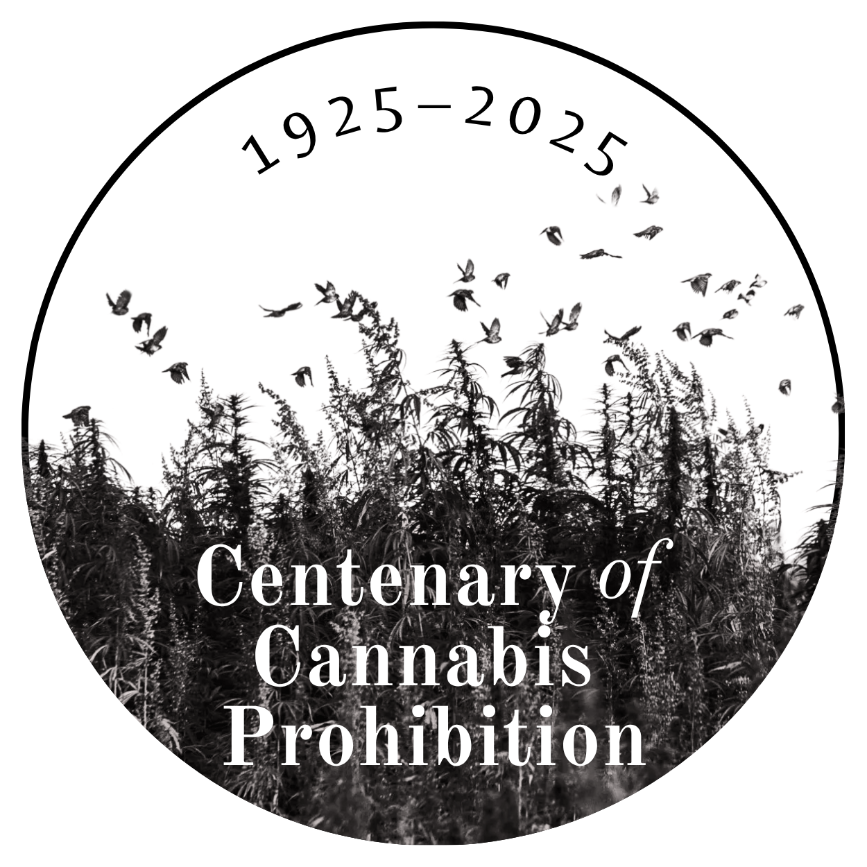 1925–2025: Centenary of Cannabis Prohibition – Global Cannabis History Year | Cannabis Embassy – Legatio Cannabis — 大麻大使馆 — سفارة القنب